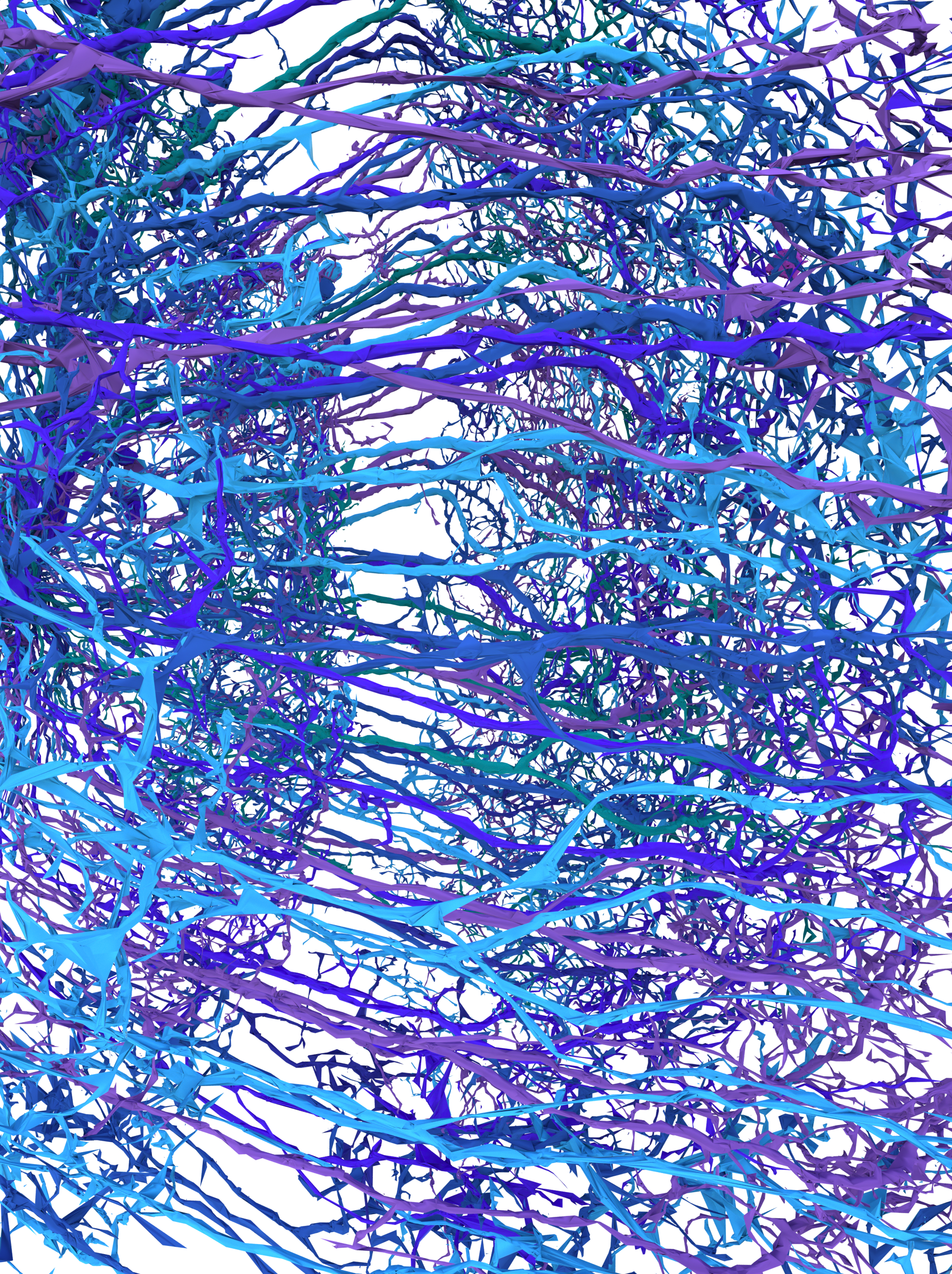 BANC tangle visualization